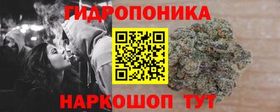 амф Гусев