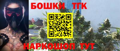 амф Гусев