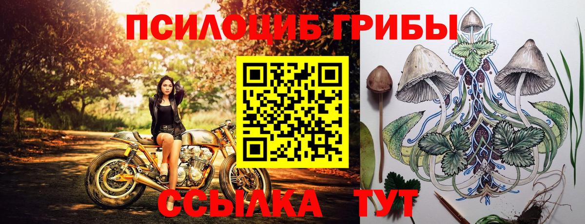 Псилоцибиновые грибы мухоморы Москва