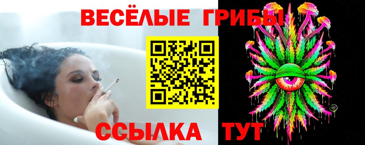 Москва  Галлюциногенные грибы мицелий  Галлюциногенные грибы Cubensis  Вход с VPN 